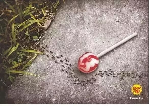 1552708288581918.jpg 0 (4).jpg