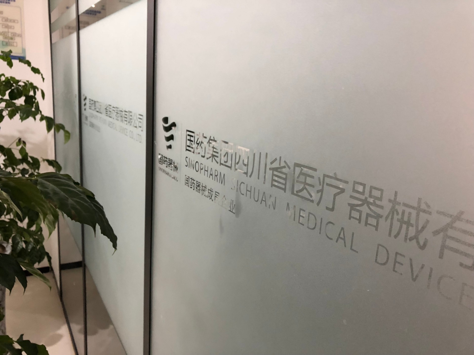 1589177448614407.jpg 1589177448614407.jpg