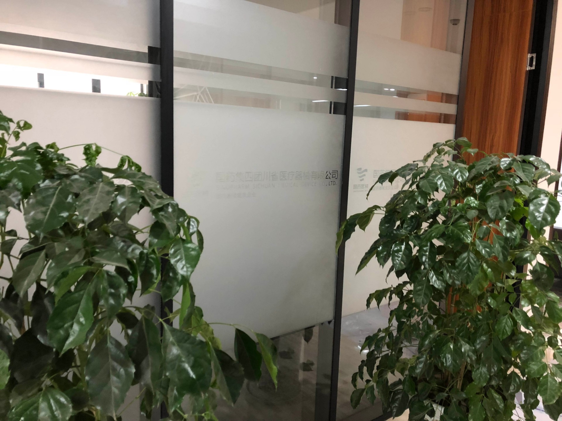 1589177592582779.jpg 1589177592582779.jpg